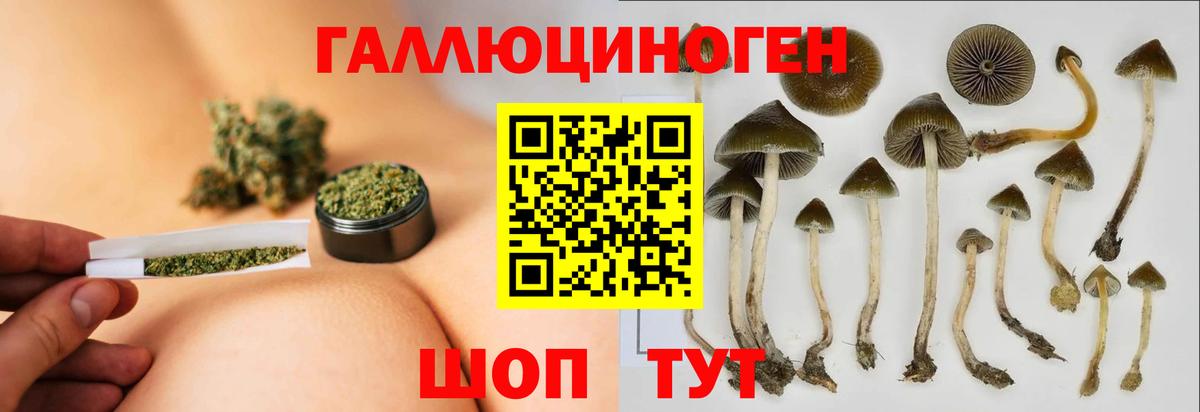 Галлюциногенные грибы мухоморы  где найти наркотики  Наро-Фоминск  Галлюциногенные грибы Psilocybine cubensis  Вход с VPN 